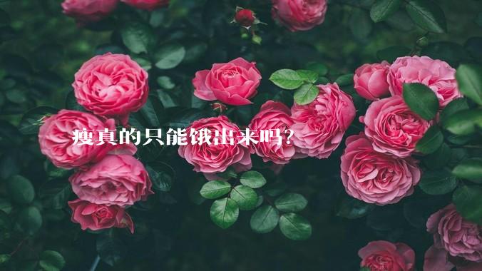 瘦真的只能饿出来吗？
