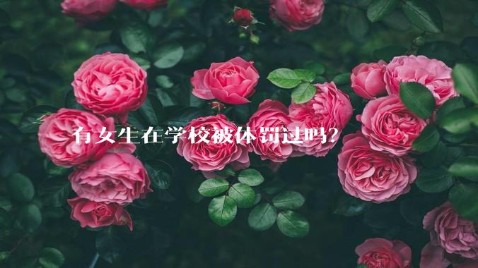 有女生在学校被体罚过吗？